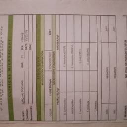 Medical Report Age Edit