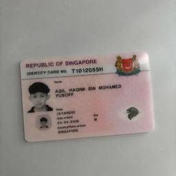 Singapore ID Card DOB Edit