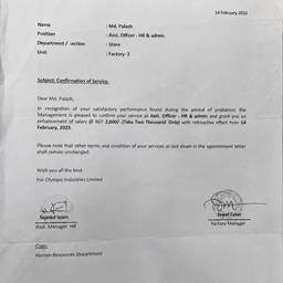 Edit Job Title in Letter