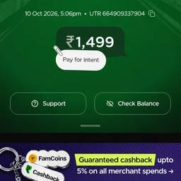Payment Amount Screenshot Edit