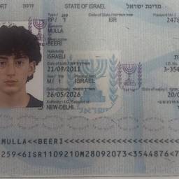 Antes - Editar ano de nascimento no passaporte