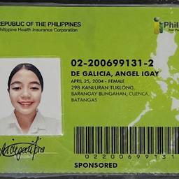 After - PhilHealth ID Address Edit
