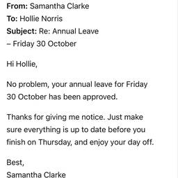 Before - Fake Email Screenshot