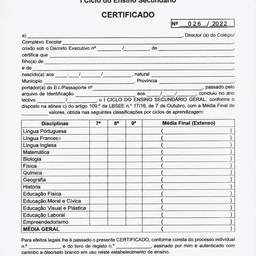 Clean Scanned Certificate