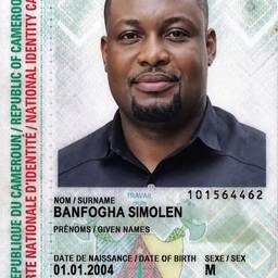 After - Cameroon ID Photo Swap