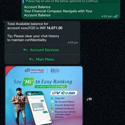 Edit Bank Balance Screenshot