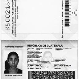 Guatemalan Passport Sharpened