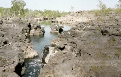 Restored River Landscape