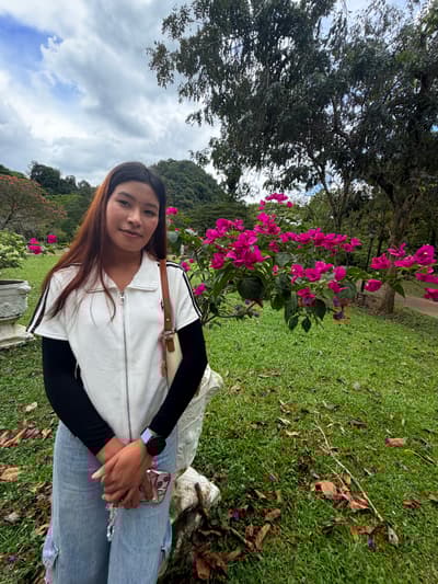 Antes - Vista do jardim ao pôr do sol