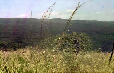 Vorher - Korrigierte Foto-Beleuchtung