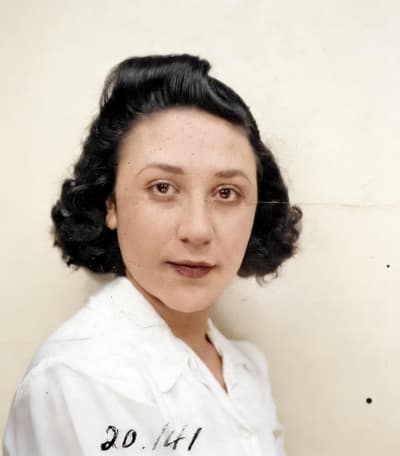 Solid Ivory Background