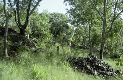 Restored 4K Landscape