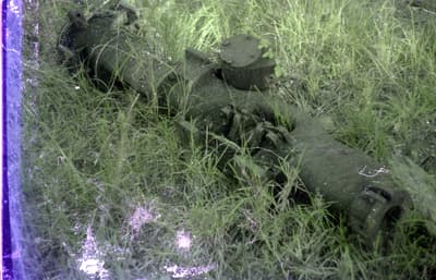 Before - 4K Photo Restoration