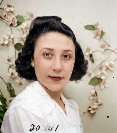 Before - Solid Ivory Background