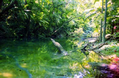 Upscaled Restored Photo