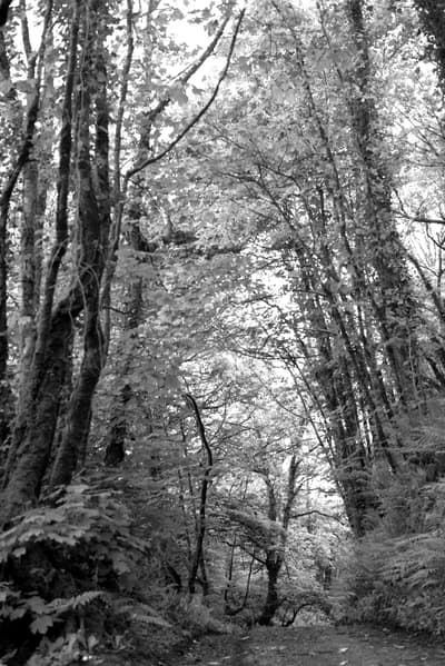 Avant - Édition photo moody