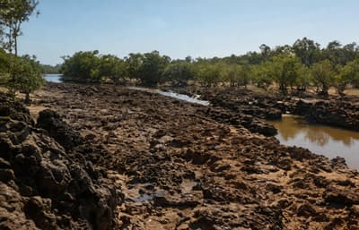 Restored Riverbed Landscape