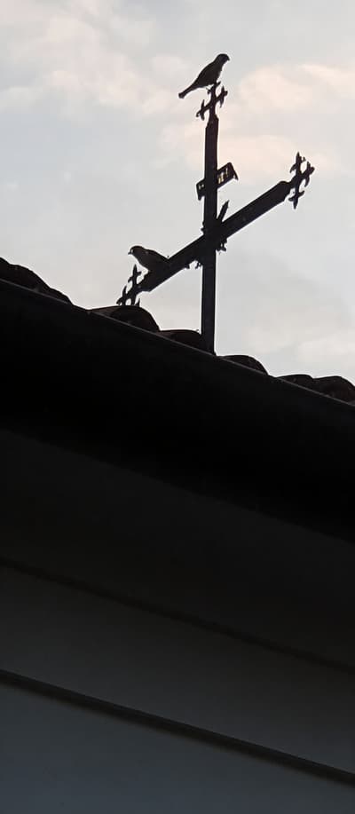 Enhanced HD Silhouette