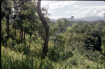 4K Photo Restoration