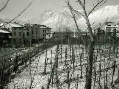 Vorher - Realistische Fotokolorierung