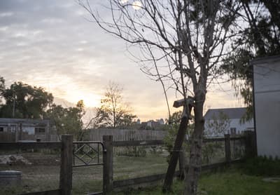 Restored Color Landscape Photo