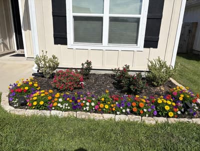 After - Colorful House Flower Border