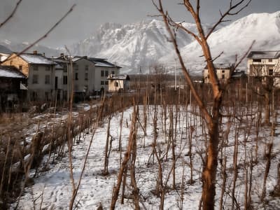 Realistic Photo Colorization