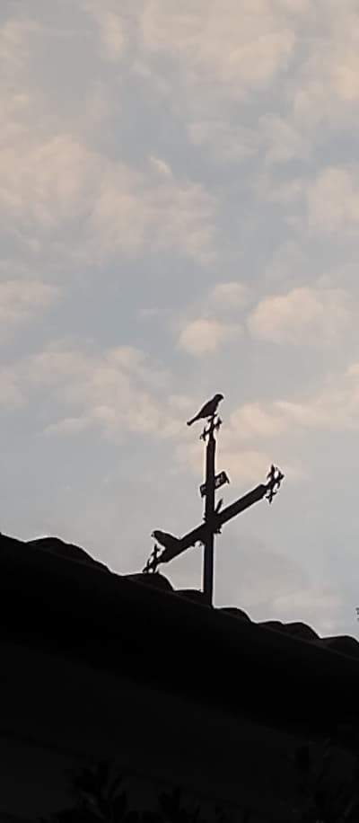 Vorher - Verbesserte HD-Silhouette