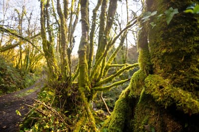 Restored High-Quality Photo