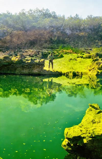 Vibrant Color Restoration