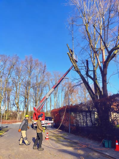 Después - Mejora Profesional de Fotos