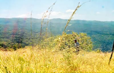 Nachher - Korrigierte Foto-Beleuchtung