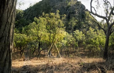 Restored Landscape Photo