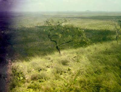 Vorher - Verbesserte Savannenlandschaft