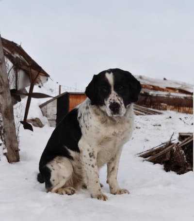 Vorher - Realistische Fotokolorierung
