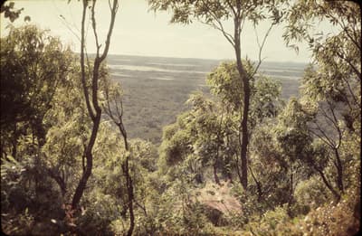 4K Landscape Restoration