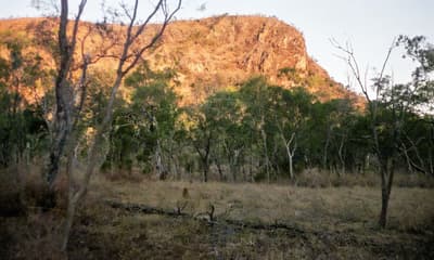 Restored Mountain Landscape