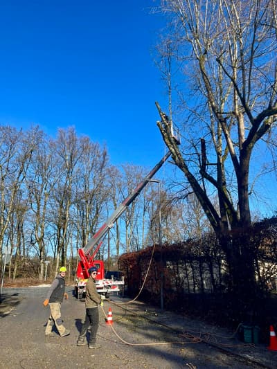 Antes - Mejora Profesional de Fotos