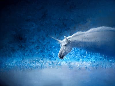 Avant - Femme embrasse un licorne