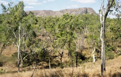 Après - Paysage de montagne restauré