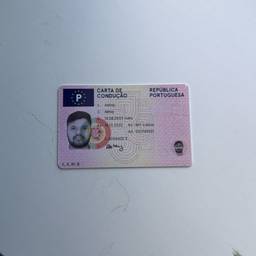 Before - Driving License Photo Swap