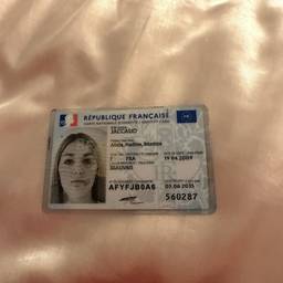 Change Date On Id Card In Image AI - Free Online Tool | ImageGPT