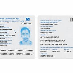 Straightened Voter ID Cards