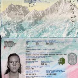 Passport Birth Year Edit