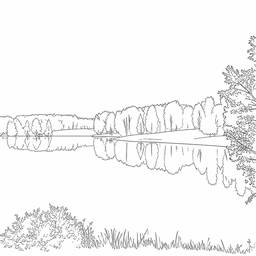 Line Drawing for Canvas