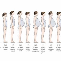 Female Body Development Infographic