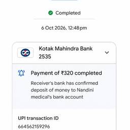 UPI Payment Amount Edit