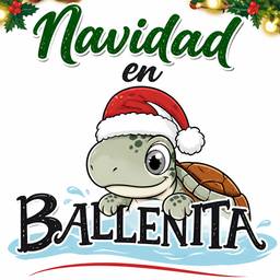 After - Christmas Turtle Greeting Card