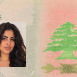 Passport Photo Swap