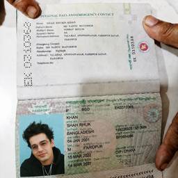 Passport Photo Swap
